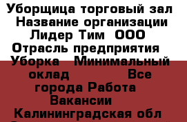 Уборщица торговый зал › Название организации ­ Лидер Тим, ООО › Отрасль предприятия ­ Уборка › Минимальный оклад ­ 27 200 - Все города Работа » Вакансии   . Калининградская обл.,Светловский городской округ 